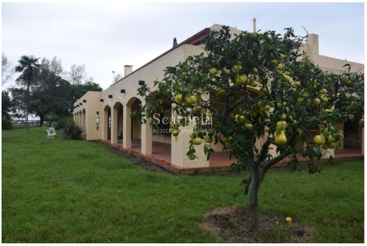 Campo Ref.24966 - Establecimiento Agrícola - Ganadero - Lechero-1432 hás  aprox.-Cardona - Colonia - Uruguay