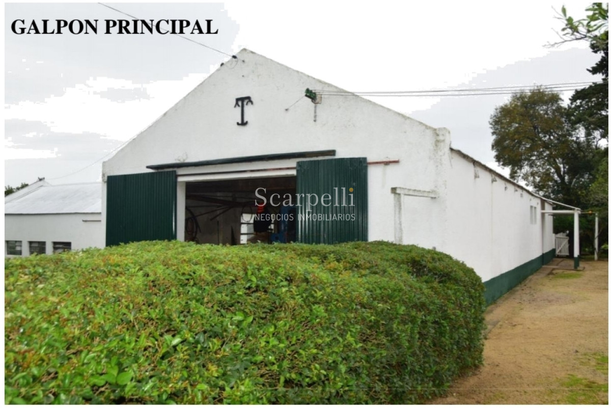Campo Ref.24966 - Establecimiento Agrícola - Ganadero - Lechero-1432 hás  aprox.-Cardona - Colonia - Uruguay