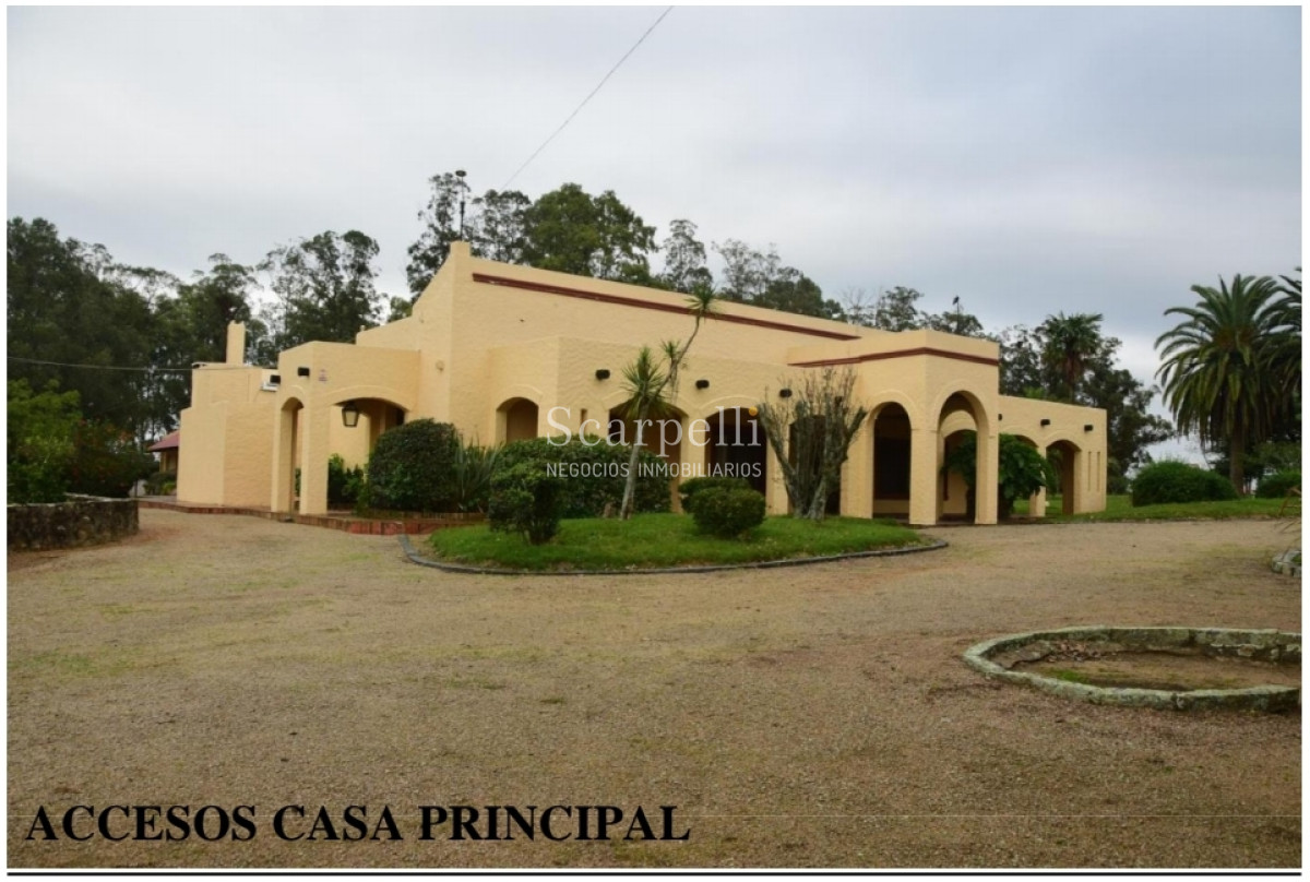 Campo Ref.24966 - Establecimiento Agrícola - Ganadero - Lechero-1432 hás  aprox.-Cardona - Colonia - Uruguay