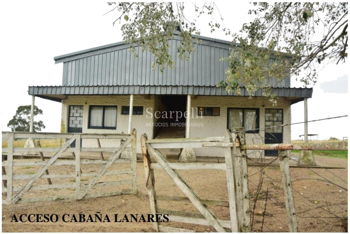 Campo Ref.24966 - Establecimiento Agrícola - Ganadero - Lechero-1432 hás  aprox.-Cardona - Colonia - Uruguay