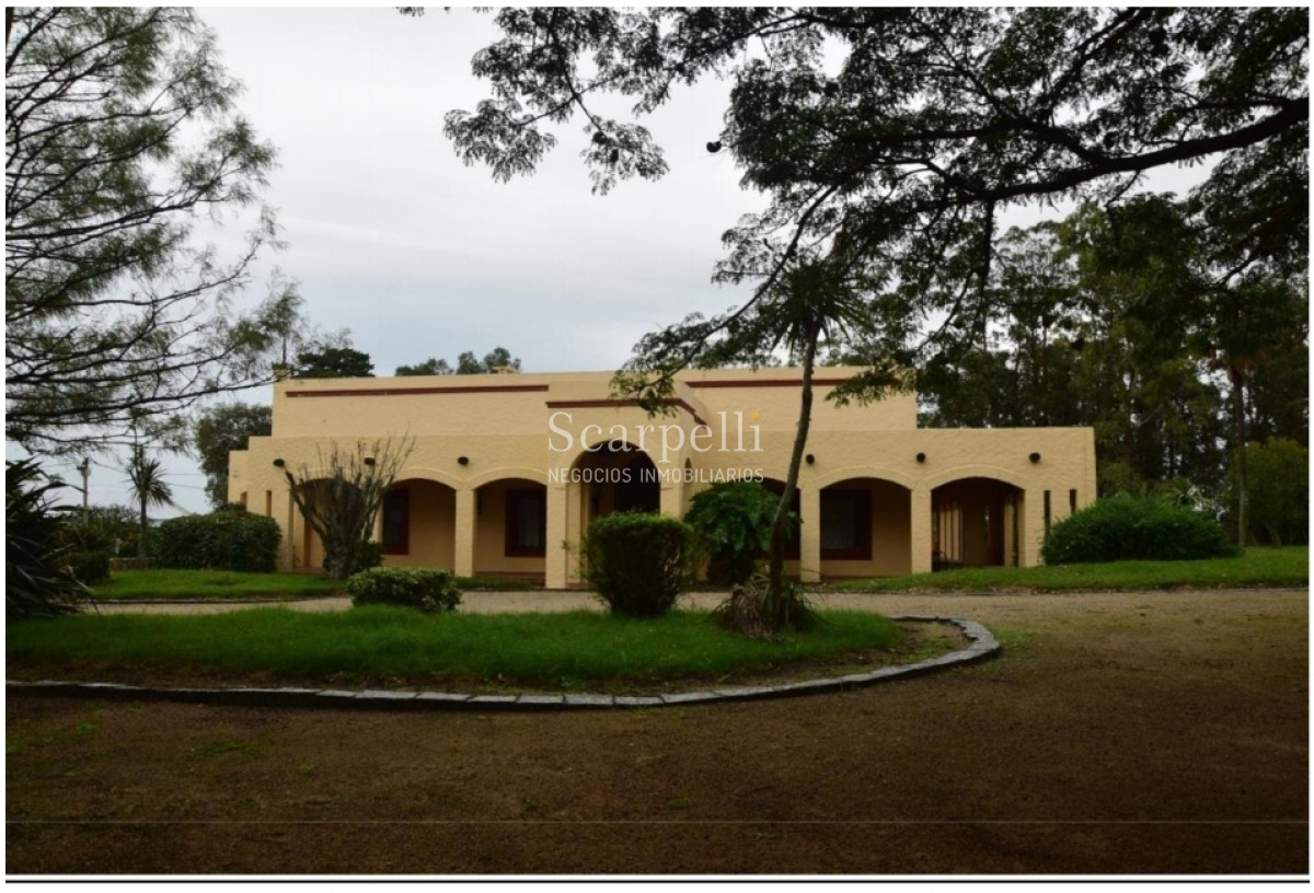 Campo Ref.24966 - Establecimiento Agrícola - Ganadero - Lechero-1432 hás  aprox.-Cardona - Colonia - Uruguay