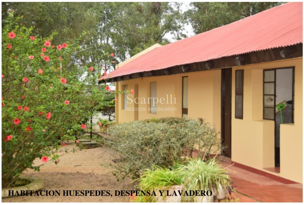 Campo Ref.24966 - Establecimiento Agrícola - Ganadero - Lechero-1432 hás  aprox.-Cardona - Colonia - Uruguay