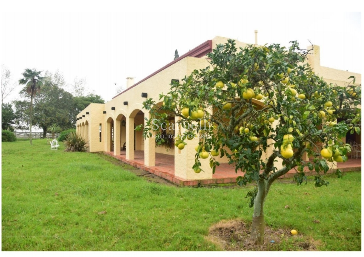 Campo Ref.24966 - Establecimiento Agrícola - Ganadero - Lechero-1432 hás  aprox.-Cardona - Colonia - Uruguay