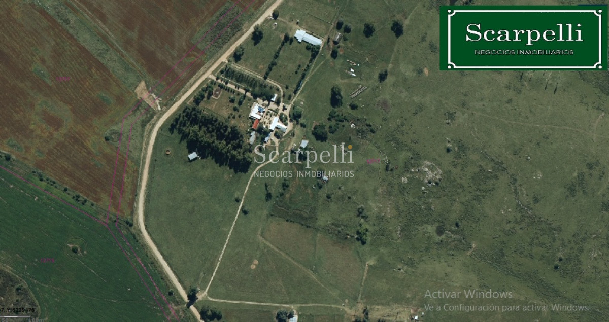 Campo Ref.24966 - Establecimiento Agrícola - Ganadero - Lechero-1432 hás  aprox.-Cardona - Colonia - Uruguay