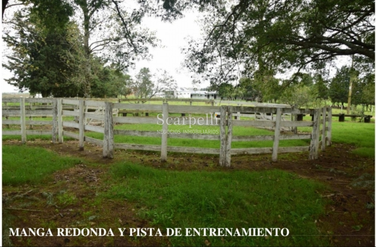 Campo Ref.24966 - Establecimiento Agrícola - Ganadero - Lechero-1432 hás  aprox.-Cardona - Colonia - Uruguay