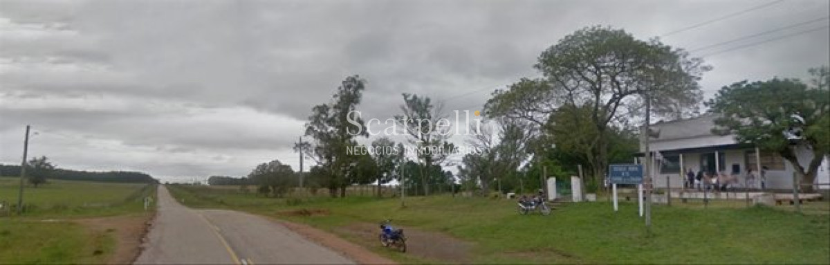 Campo Ref.71 - VENTA CAMPO RIVERA PROXIMO MINAS DE CORRALES