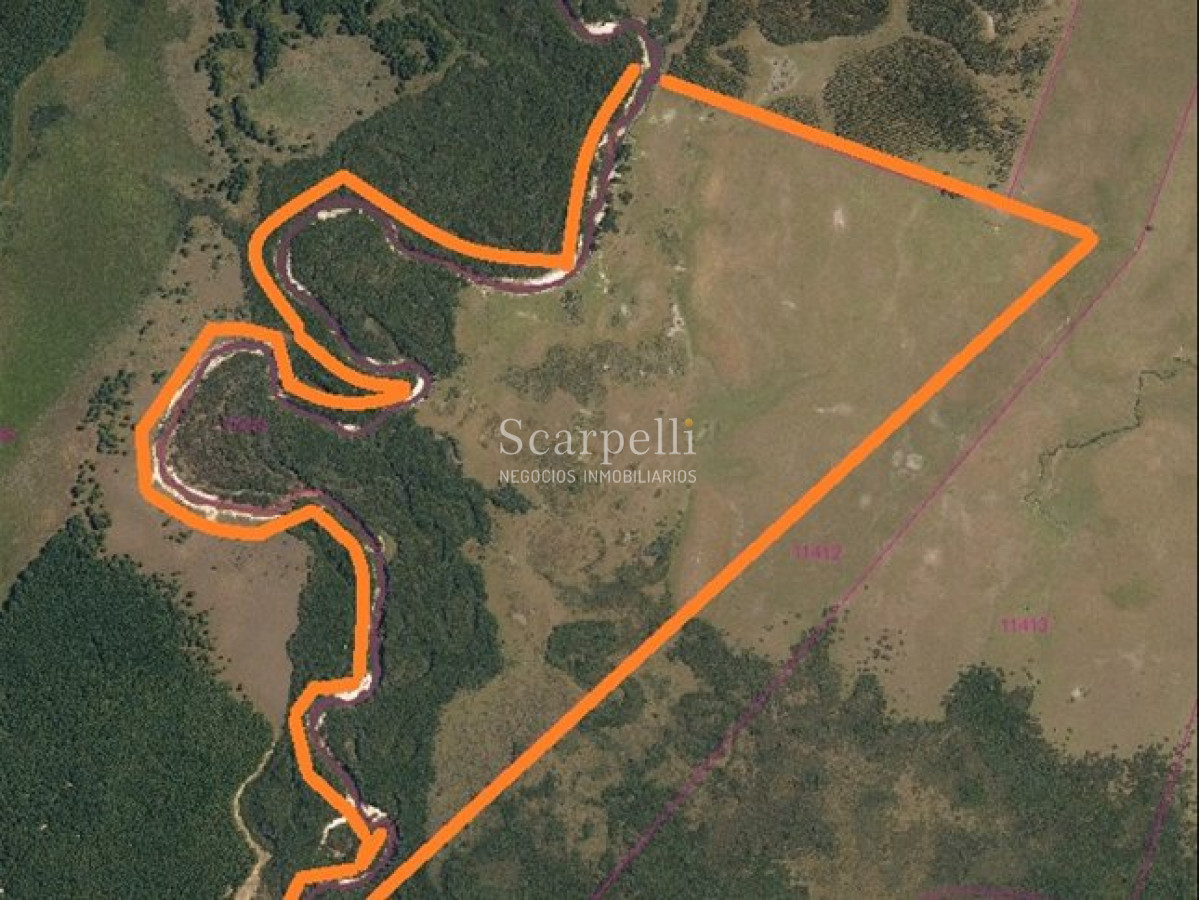 Campo Ref.71 - VENTA CAMPO RIVERA PROXIMO MINAS DE CORRALES