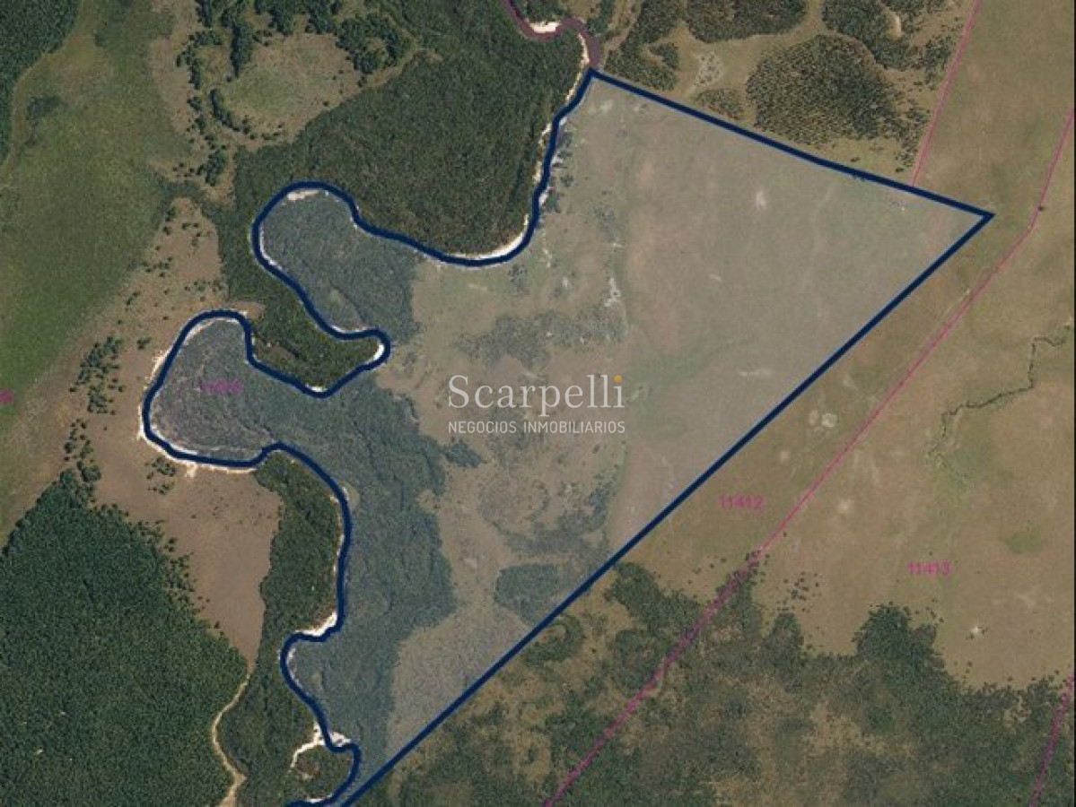 Campo Ref.71 - VENTA CAMPO RIVERA PROXIMO MINAS DE CORRALES