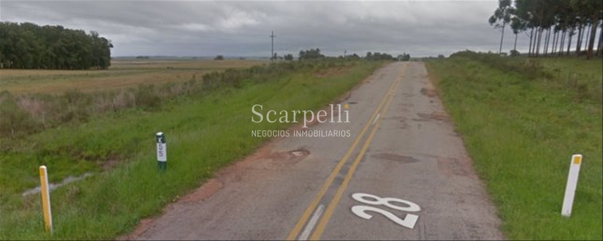 Campo Ref.71 - VENTA CAMPO RIVERA PROXIMO MINAS DE CORRALES
