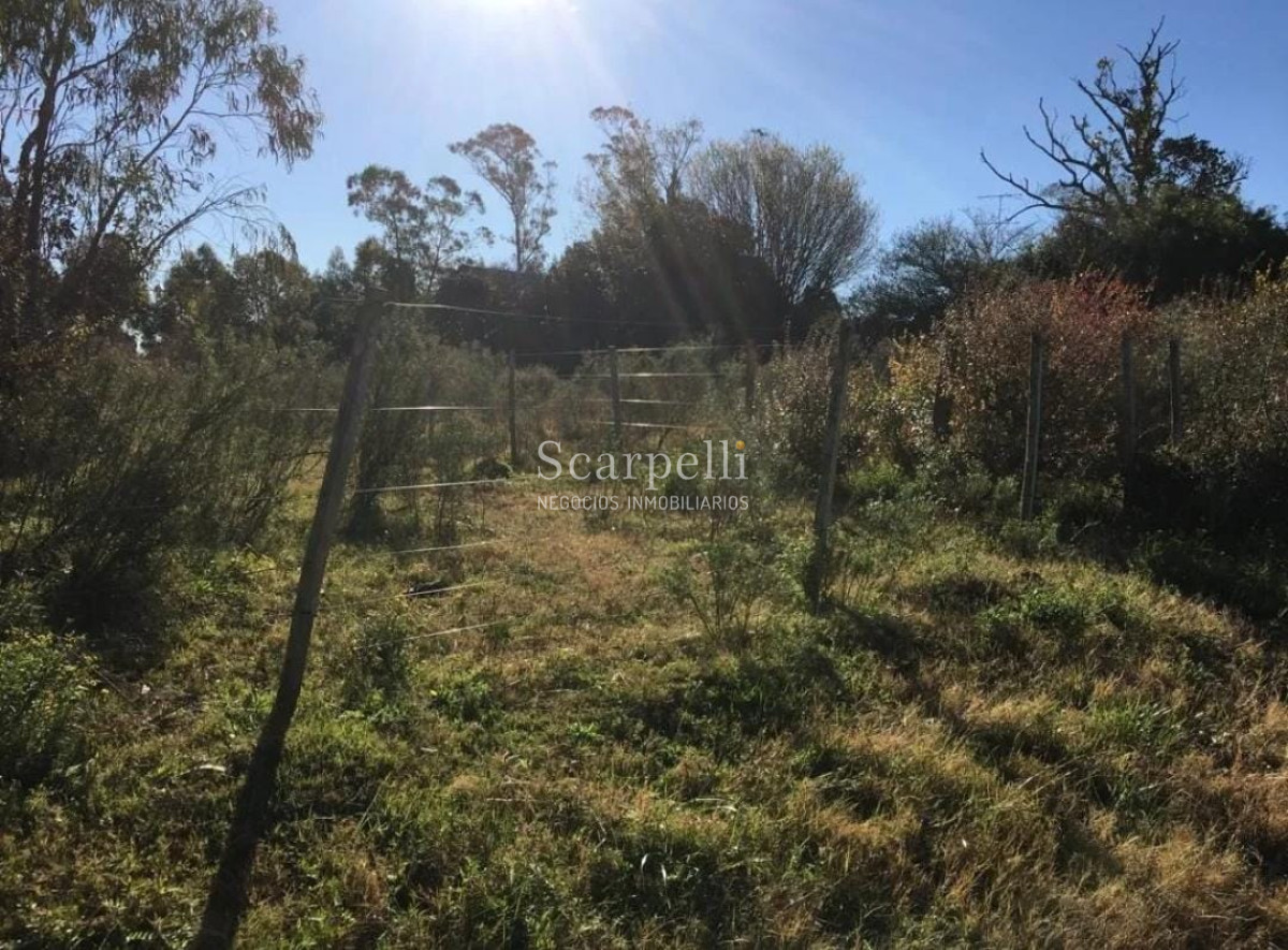 Campo Ref.26690 - Campo 22 hás prox. Ruta 7  lindero a Casupá Florida.-