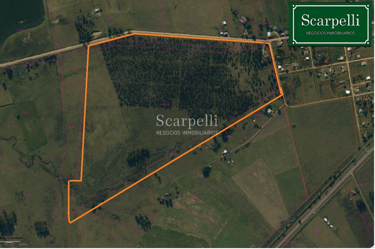 Campo Ref.26690 - Campo 22 hás prox. Ruta 7  lindero a Casupá Florida.-