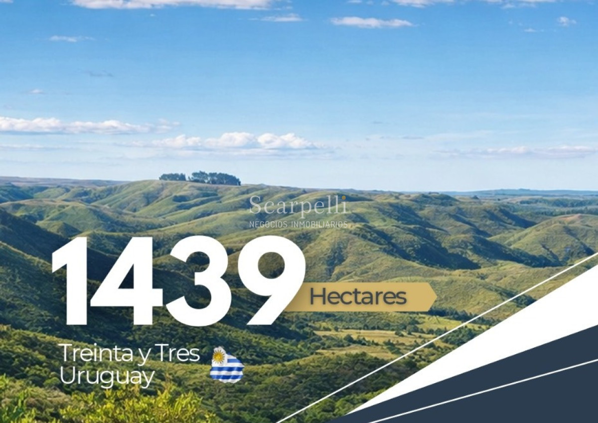Campo Ref.50624 - Campo en Rural, 