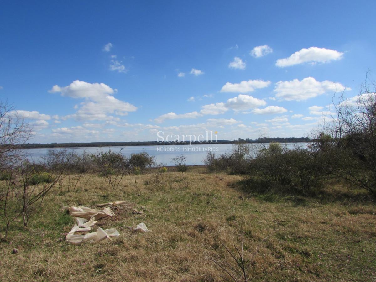 Campo Ref.32291 - Artigas Bella Unión Exclusiva Chacra 11 hás a mts. del Río Uruguay y Frente al Futuro Puente Monte Caseros / Bella Unión