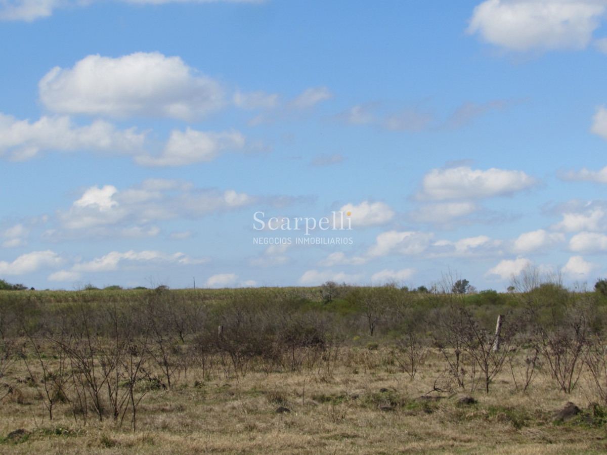 Campo Ref.32291 - Artigas Bella Unión Exclusiva Chacra 11 hás a mts. del Río Uruguay y Frente al Futuro Puente Monte Caseros / Bella Unión