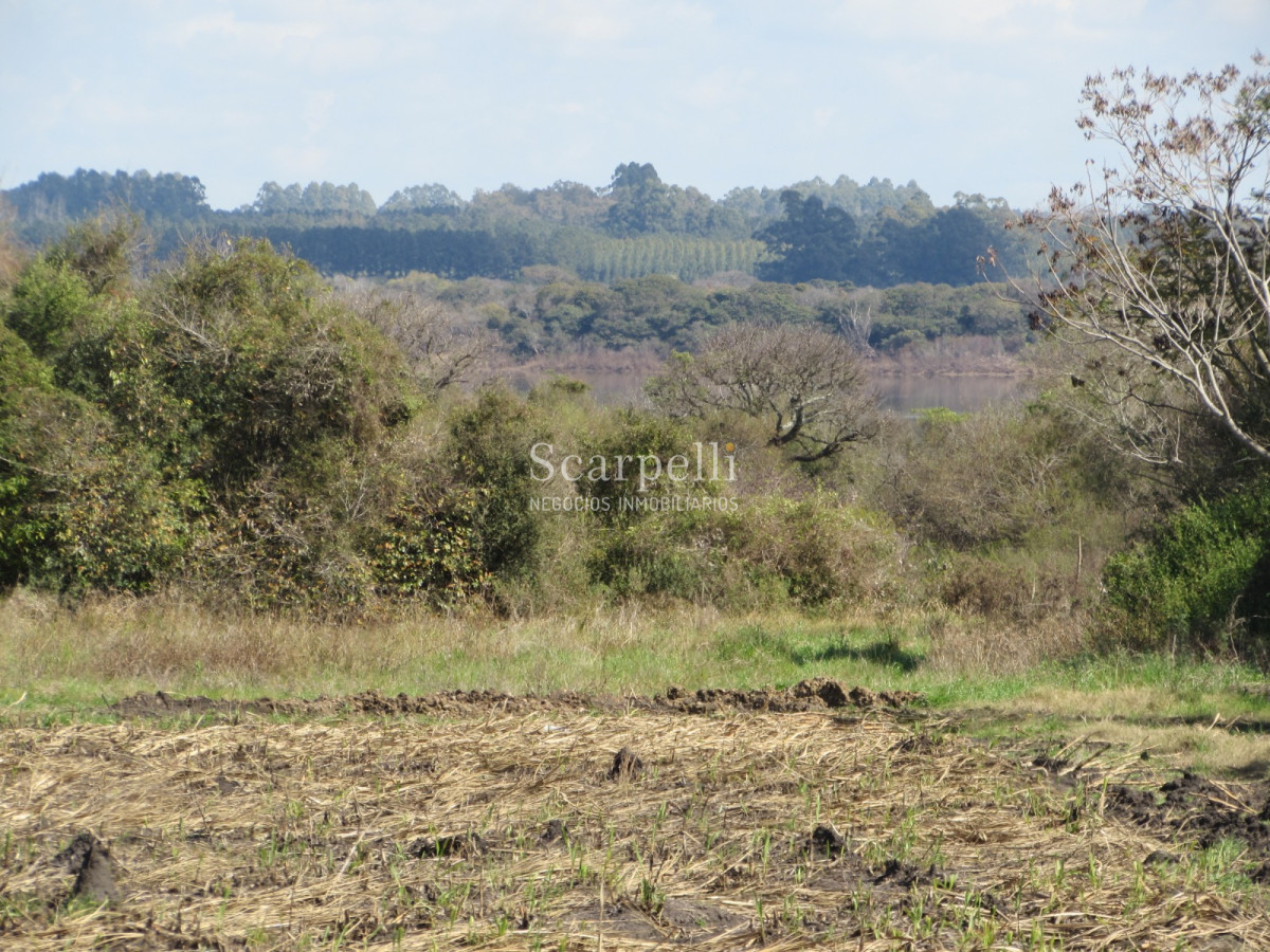 Campo Ref.32291 - Artigas Bella Unión Exclusiva Chacra 11 hás a mts. del Río Uruguay y Frente al Futuro Puente Monte Caseros / Bella Unión