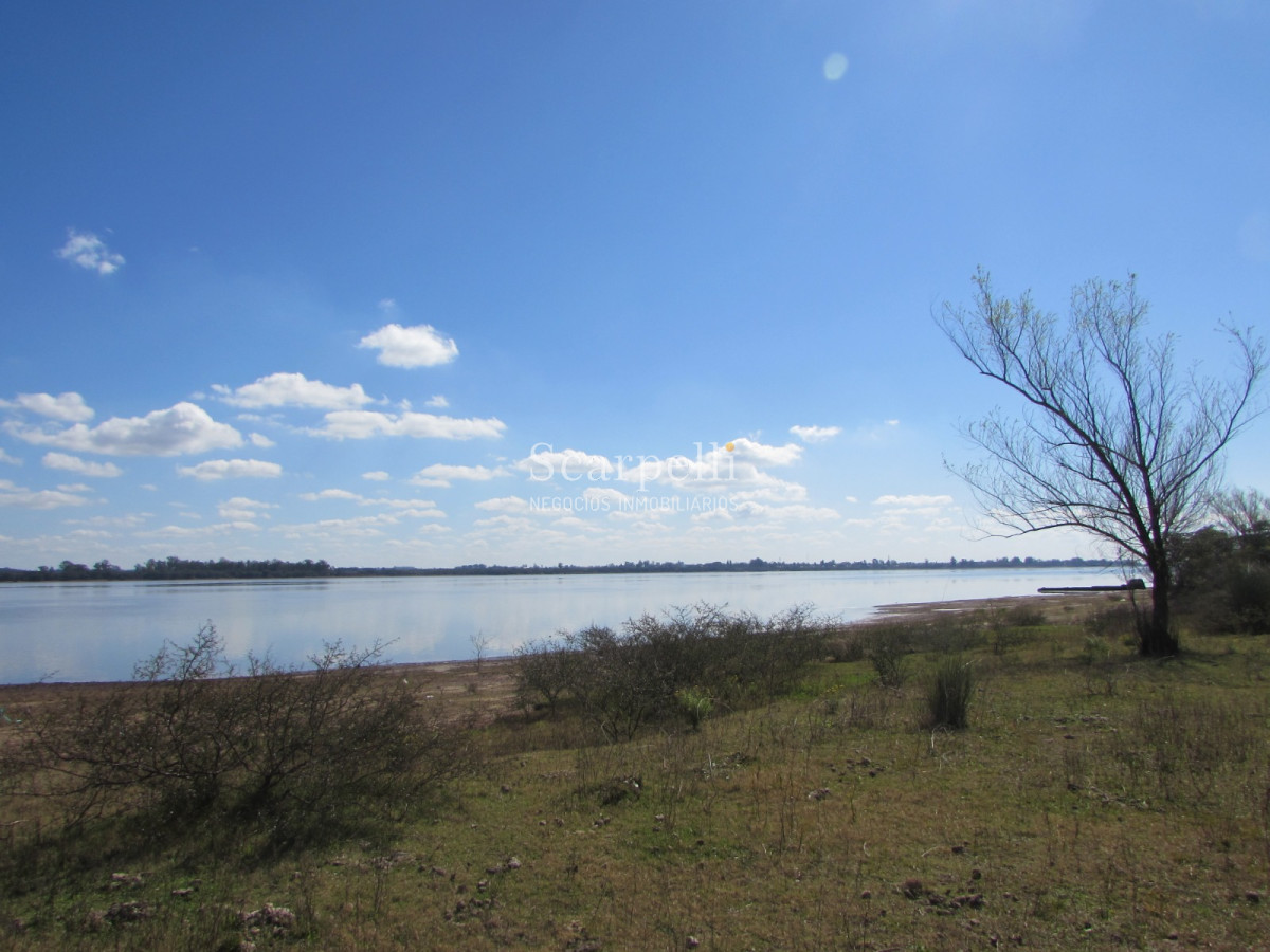 Campo Ref.32291 - Artigas Bella Unión Exclusiva Chacra 11 hás a mts. del Río Uruguay y Frente al Futuro Puente Monte Caseros / Bella Unión