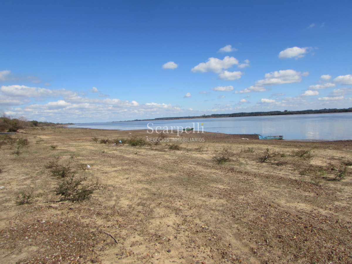 Campo Ref.32291 - Artigas Bella Unión Exclusiva Chacra 11 hás a mts. del Río Uruguay y Frente al Futuro Puente Monte Caseros / Bella Unión