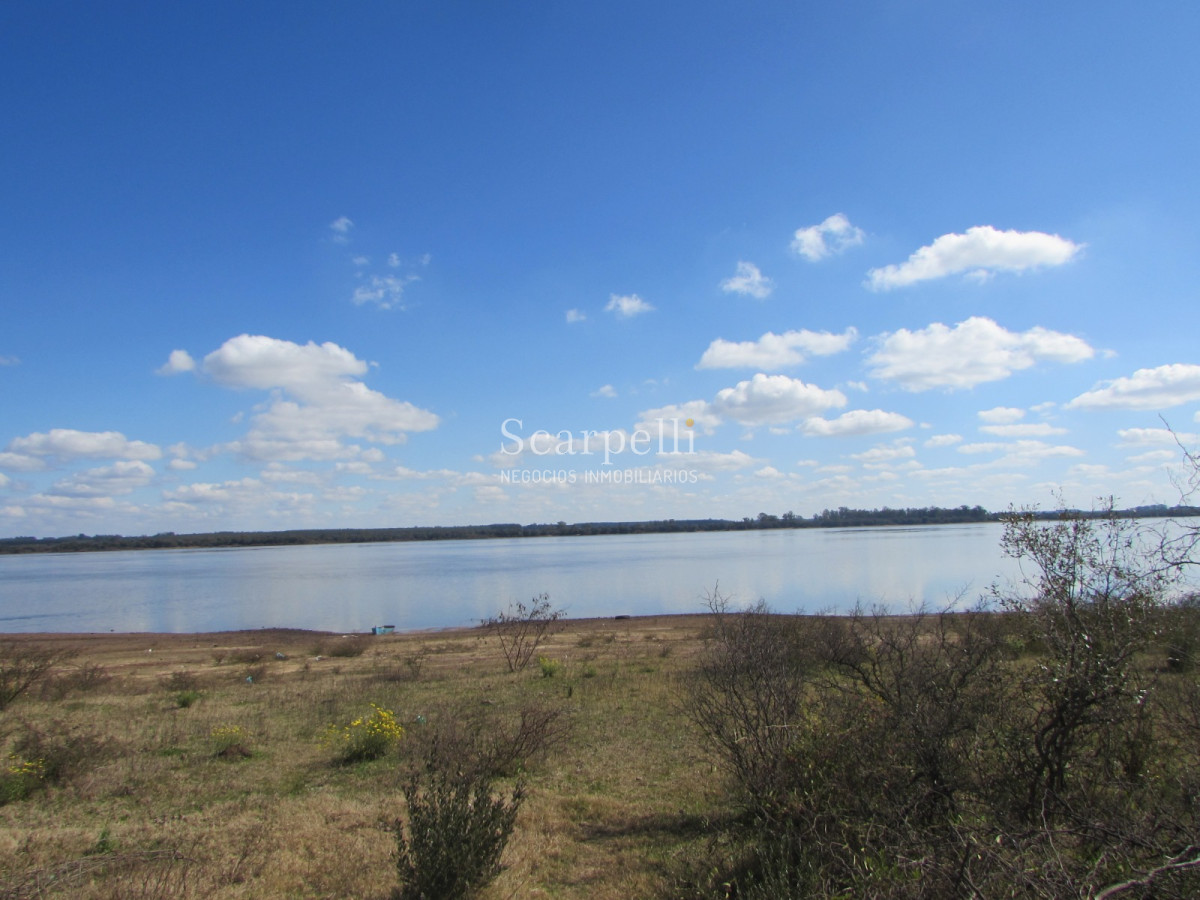 Campo Ref.32291 - Artigas Bella Unión Exclusiva Chacra 11 hás a mts. del Río Uruguay y Frente al Futuro Puente Monte Caseros / Bella Unión