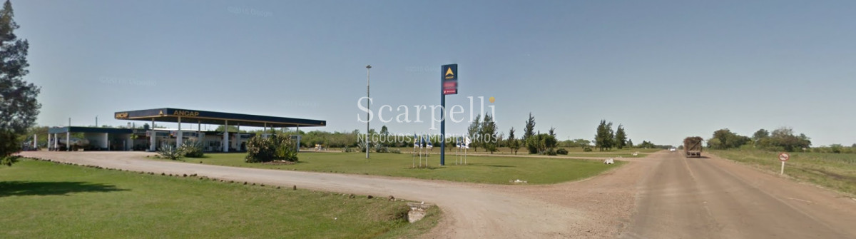 Campo Ref.32291 - Artigas Bella Unión Exclusiva Chacra 11 hás a mts. del Río Uruguay y Frente al Futuro Puente Monte Caseros / Bella Unión