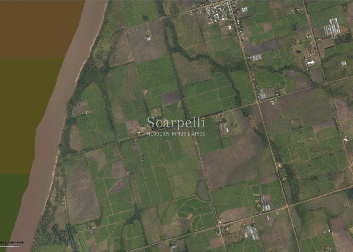 Campo Ref.32291 - Artigas Bella Unión Exclusiva Chacra 11 hás a mts. del Río Uruguay y Frente al Futuro Puente Monte Caseros / Bella Unión
