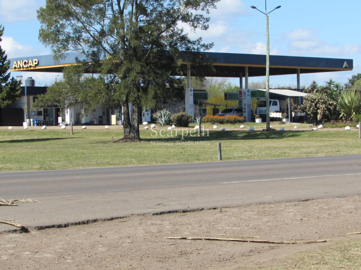 Campo Ref.32291 - Artigas Bella Unión Exclusiva Chacra 11 hás a mts. del Río Uruguay y Frente al Futuro Puente Monte Caseros / Bella Unión