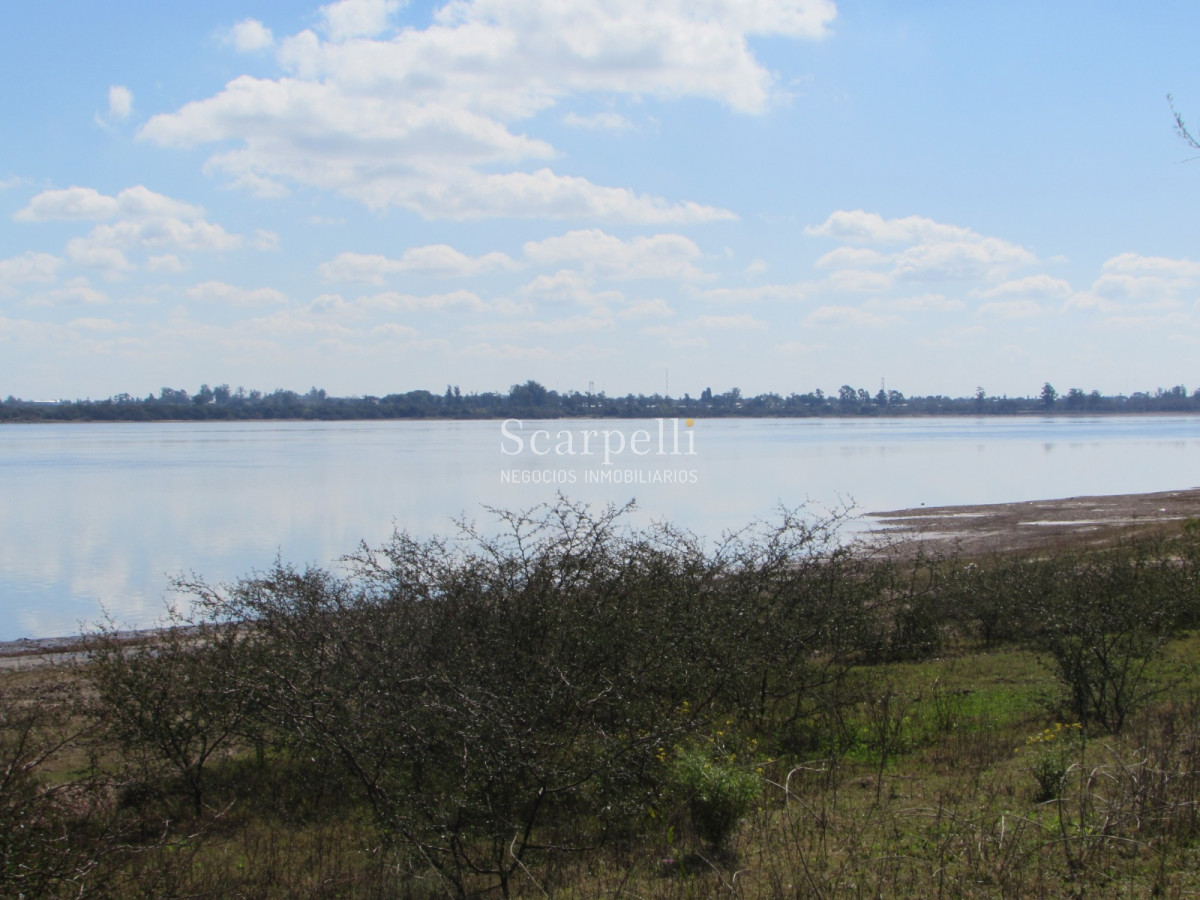 Campo Ref.32291 - Artigas Bella Unión Exclusiva Chacra 11 hás a mts. del Río Uruguay y Frente al Futuro Puente Monte Caseros / Bella Unión