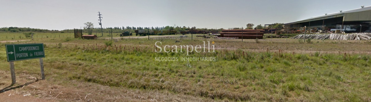 Campo Ref.32291 - Artigas Bella Unión Exclusiva Chacra 11 hás a mts. del Río Uruguay y Frente al Futuro Puente Monte Caseros / Bella Unión