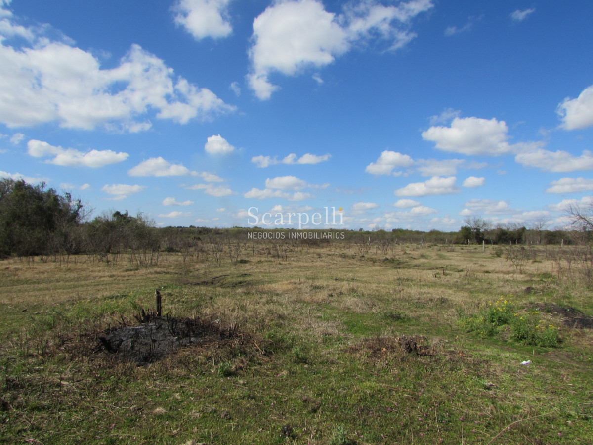 Campo Ref.32291 - Artigas Bella Unión Exclusiva Chacra 11 hás a mts. del Río Uruguay y Frente al Futuro Puente Monte Caseros / Bella Unión