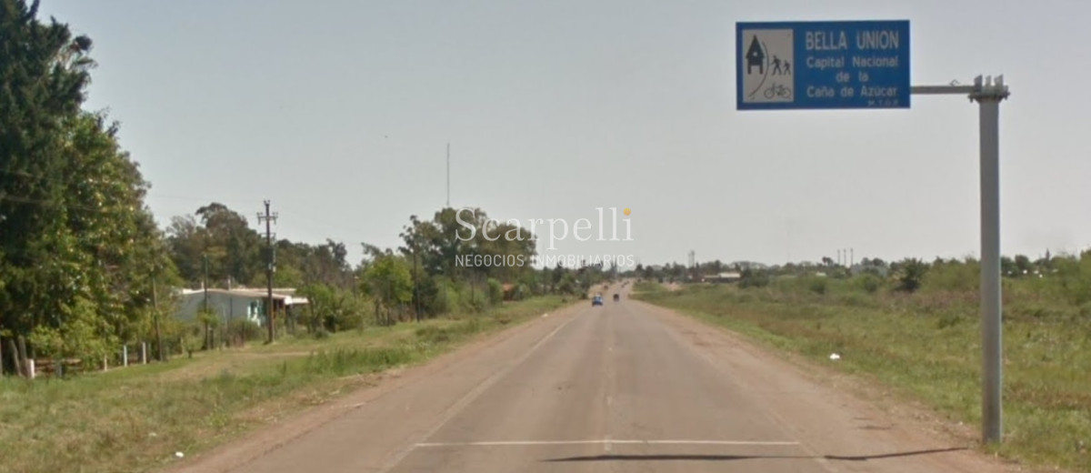 Campo Ref.32291 - Artigas Bella Unión Exclusiva Chacra 11 hás a mts. del Río Uruguay y Frente al Futuro Puente Monte Caseros / Bella Unión