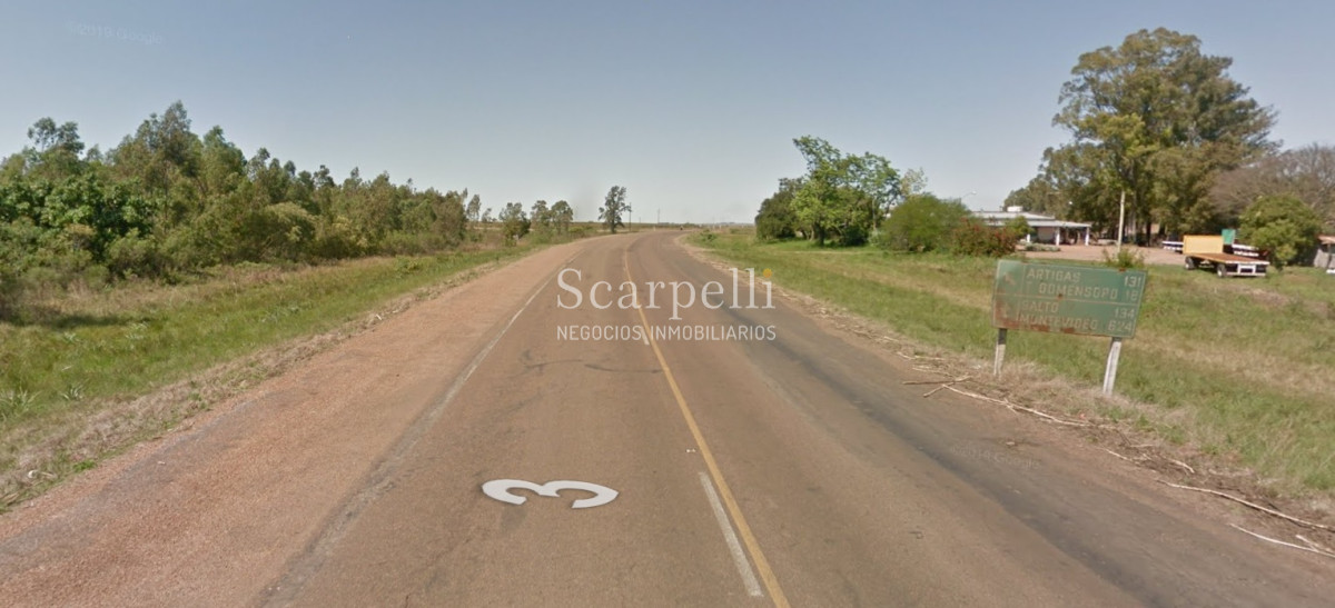 Campo Ref.32291 - Artigas Bella Unión Exclusiva Chacra 11 hás a mts. del Río Uruguay y Frente al Futuro Puente Monte Caseros / Bella Unión