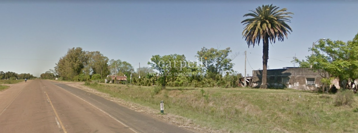 Campo Ref.32291 - Artigas Bella Unión Exclusiva Chacra 11 hás a mts. del Río Uruguay y Frente al Futuro Puente Monte Caseros / Bella Unión