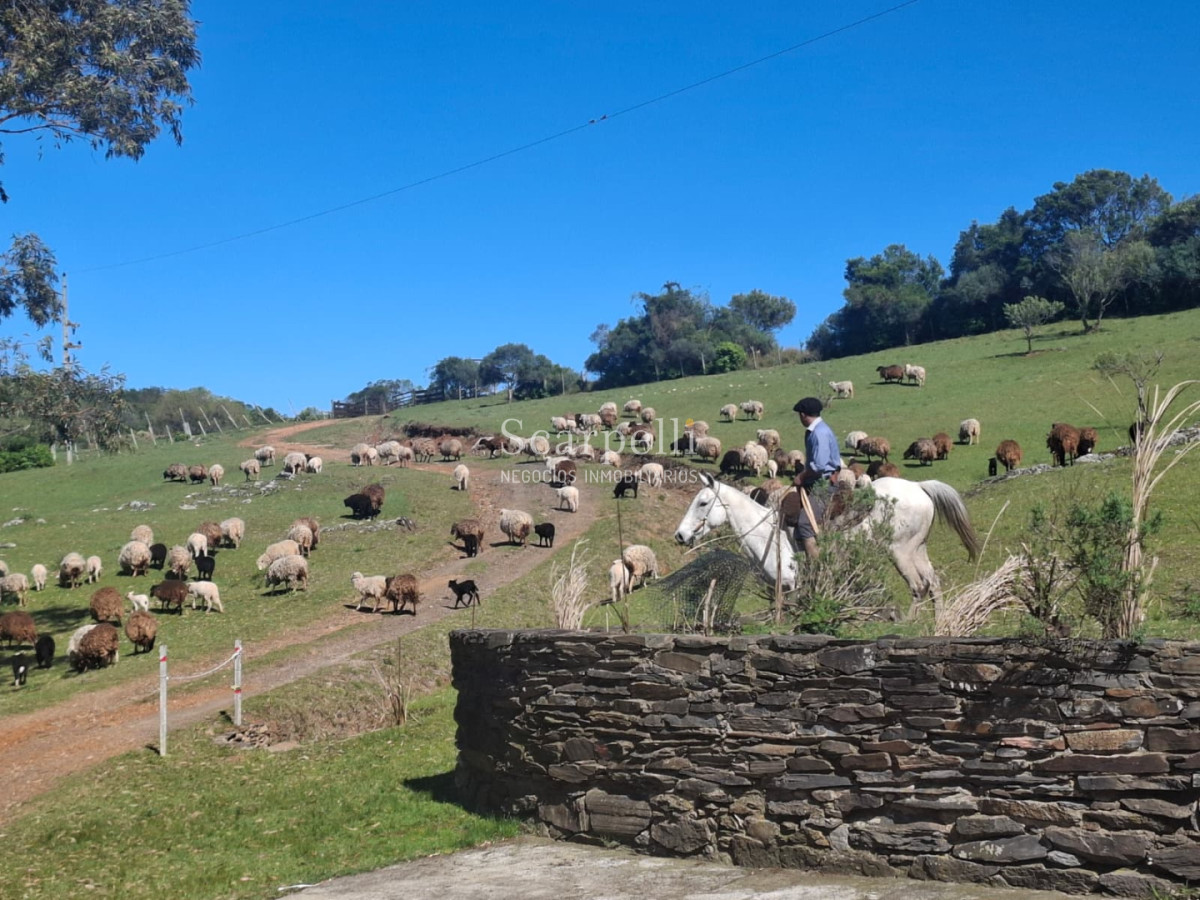 Campo Ref.50624 - Campo en Rural, 