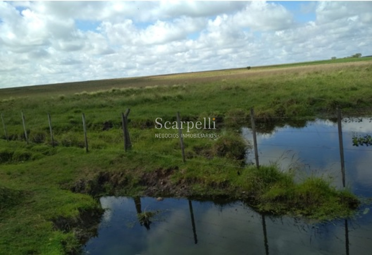Campo Ref.32795 - VENTA CAMPO BELLA UNION ARTIGAS