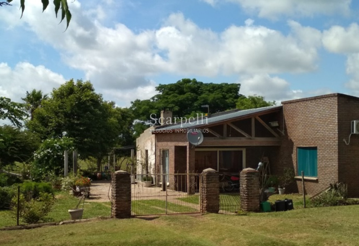 Campo Ref.32795 - VENTA CAMPO BELLA UNION ARTIGAS