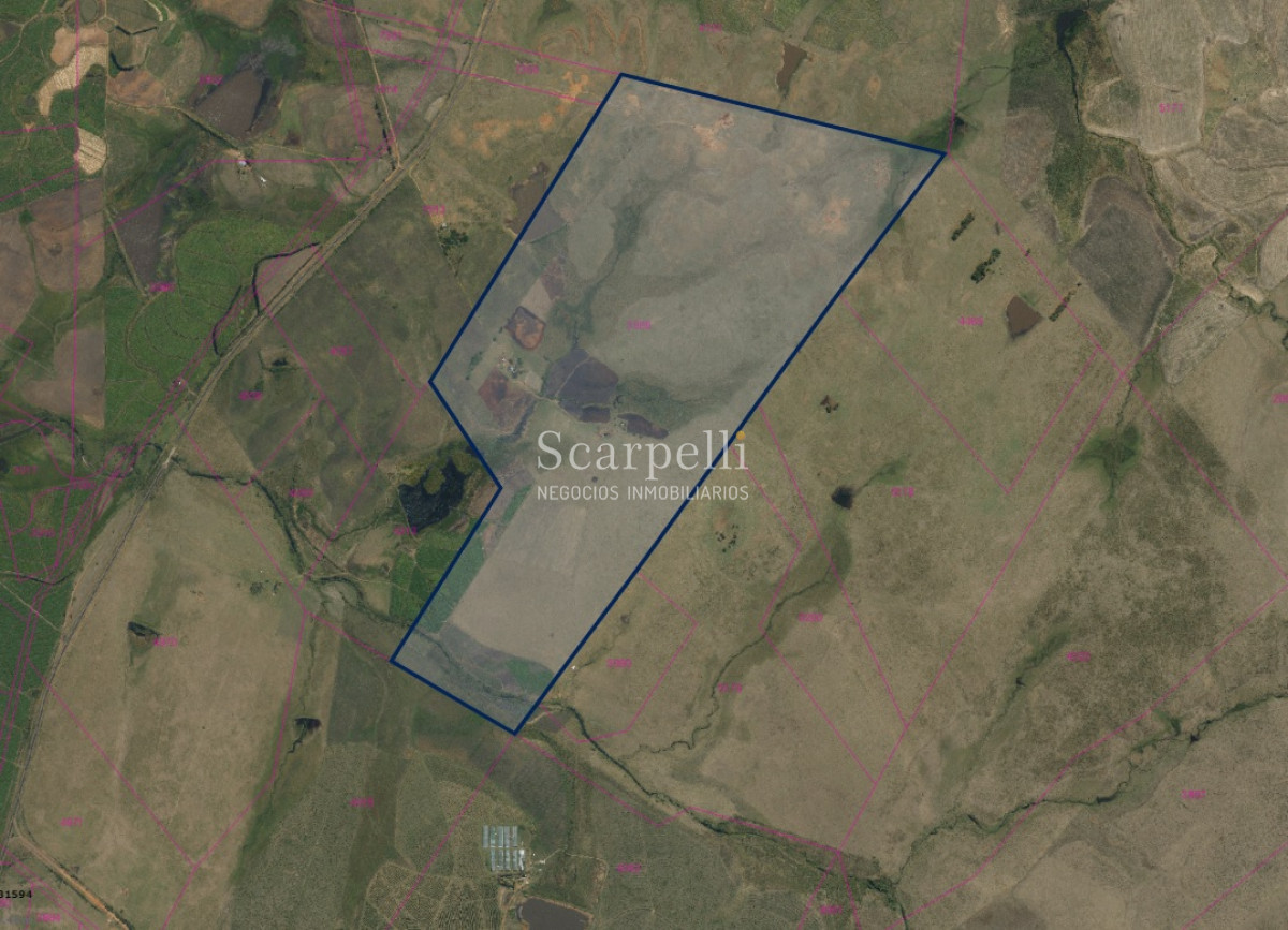 Campo Ref.32795 - VENTA CAMPO BELLA UNION ARTIGAS