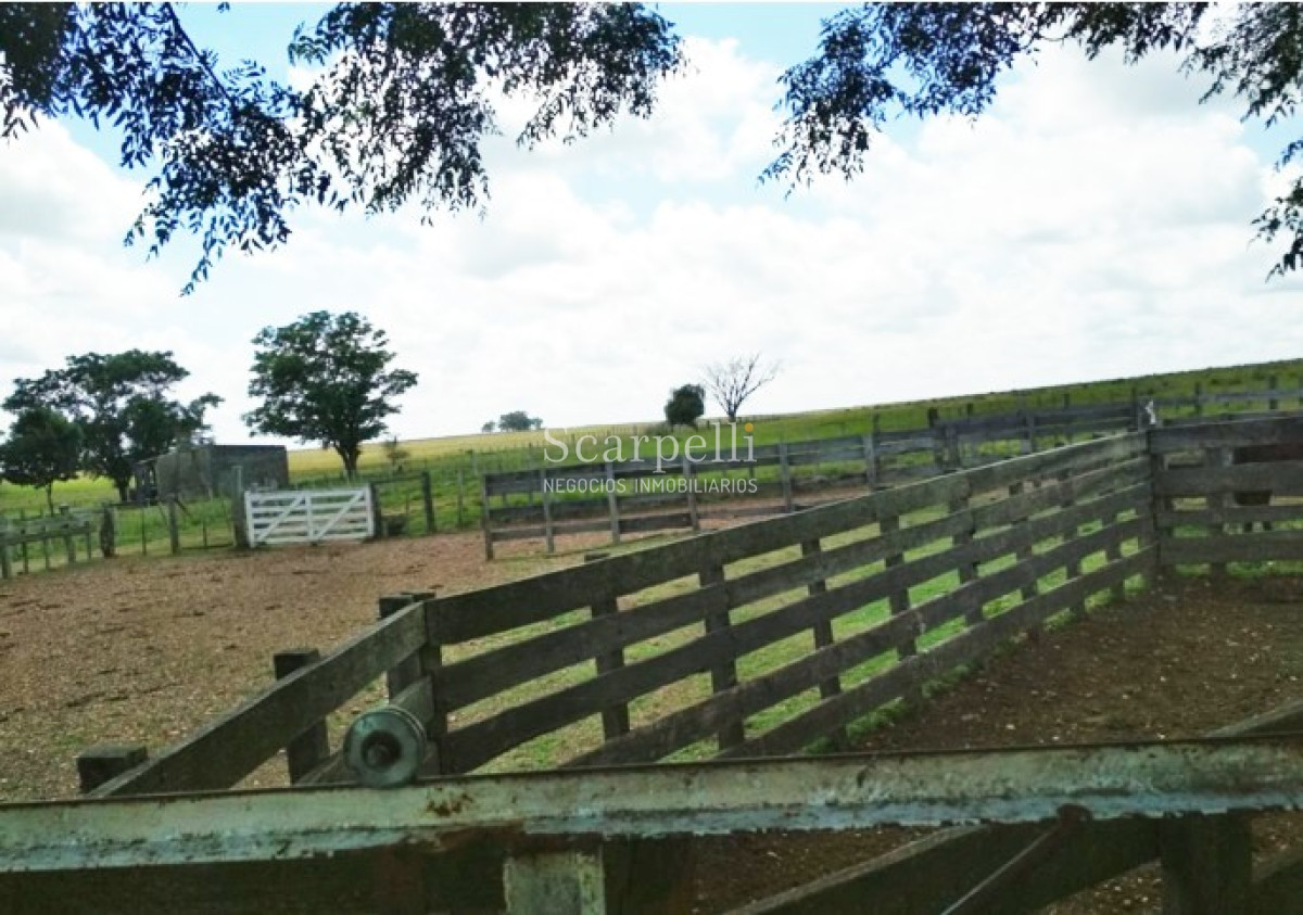 Campo Ref.32795 - VENTA CAMPO BELLA UNION ARTIGAS