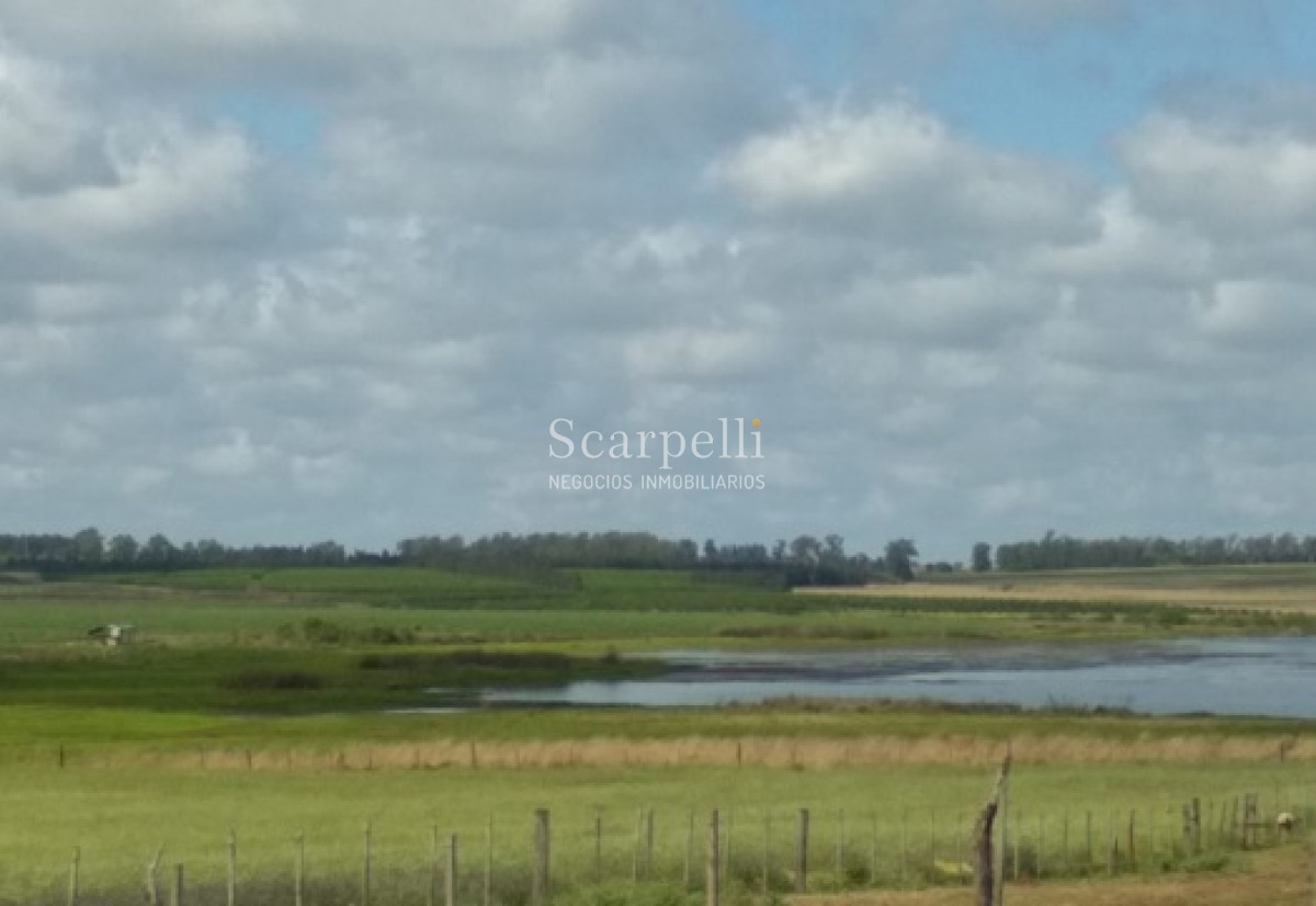 Campo Ref.32795 - VENTA CAMPO BELLA UNION ARTIGAS