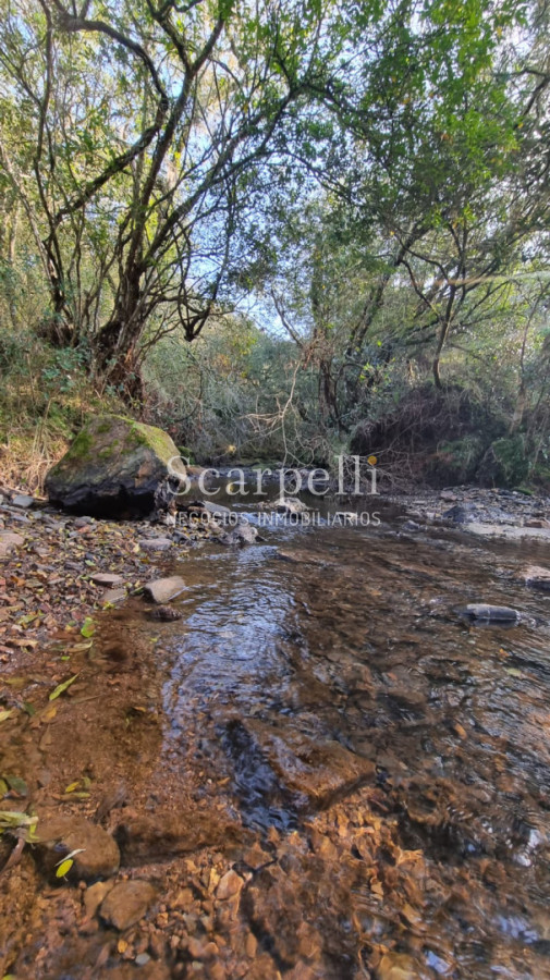 Campo Ref.50624 - Campo en Rural, 