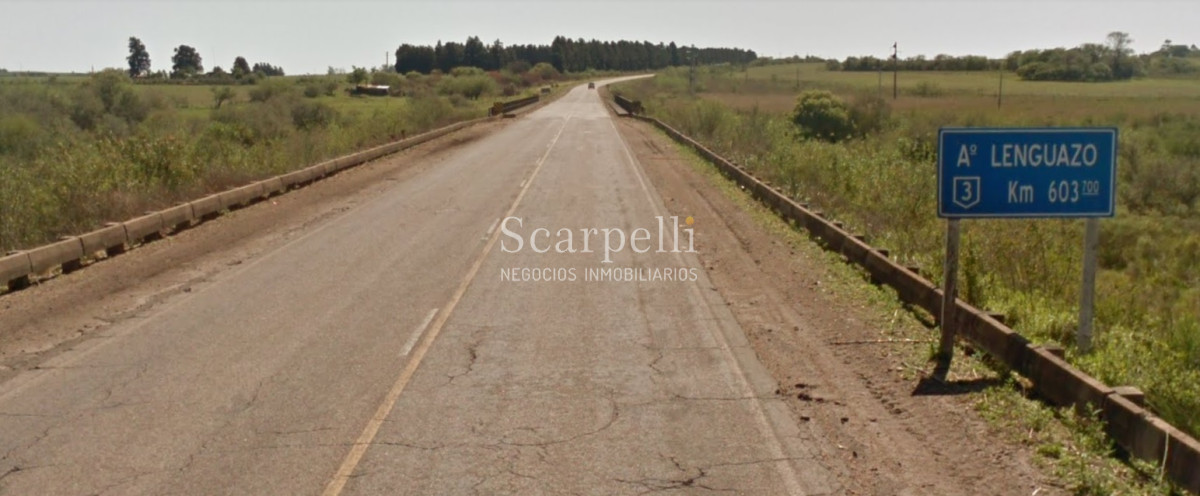 Campo Ref.34048 - ARTIGAS VENTA CAMPO 320 Hás  Próximo Bella Union