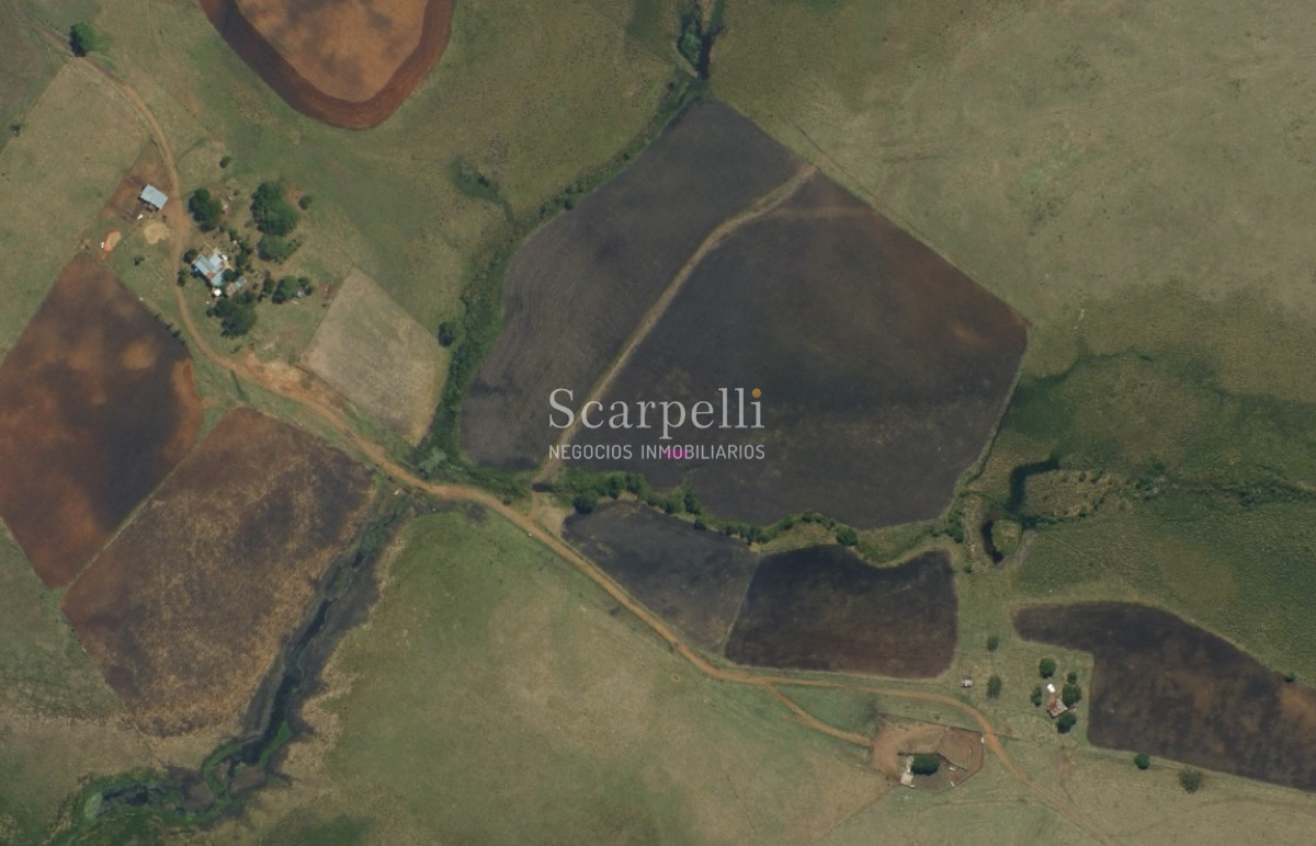 Campo Ref.34048 - ARTIGAS VENTA CAMPO 320 Hás  Próximo Bella Union