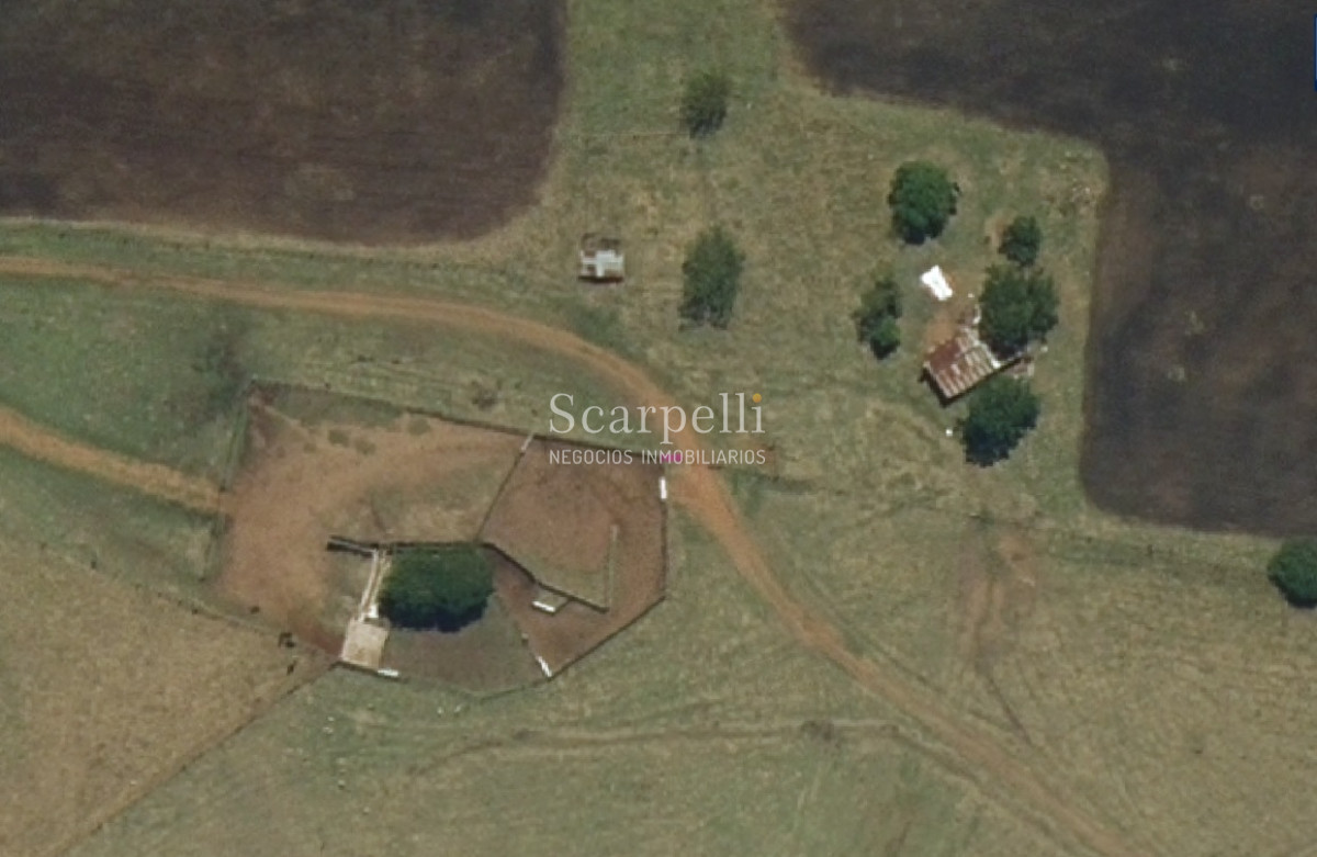 Campo Ref.34048 - ARTIGAS VENTA CAMPO 320 Hás  Próximo Bella Union