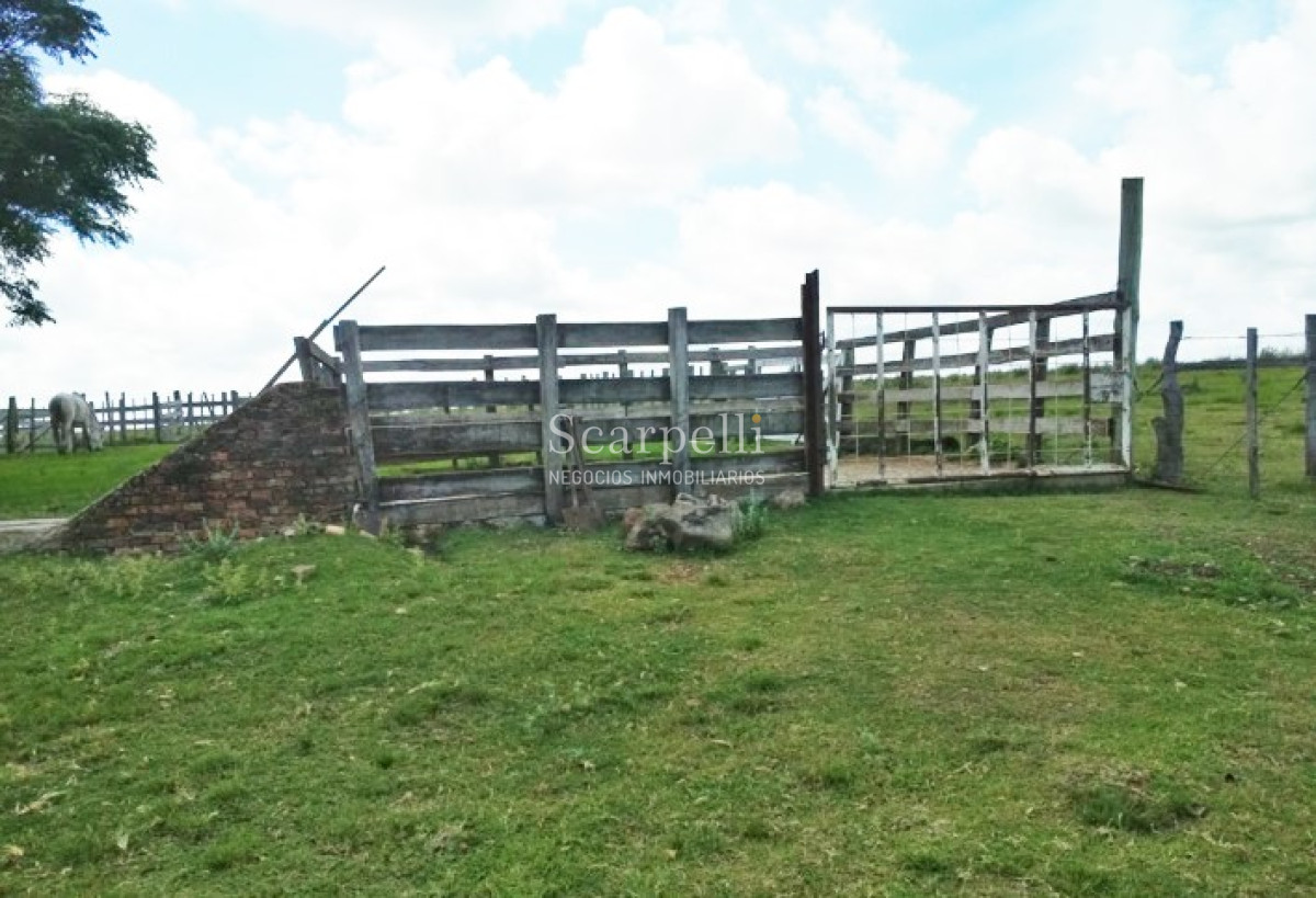 Campo Ref.34048 - ARTIGAS VENTA CAMPO 320 Hás  Próximo Bella Union