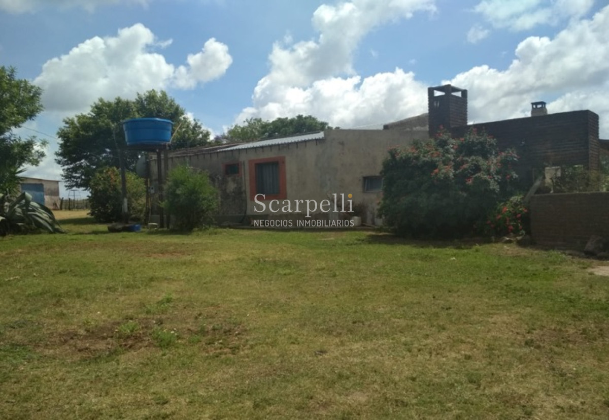 Campo Ref.34048 - ARTIGAS VENTA CAMPO 320 Hás  Próximo Bella Union