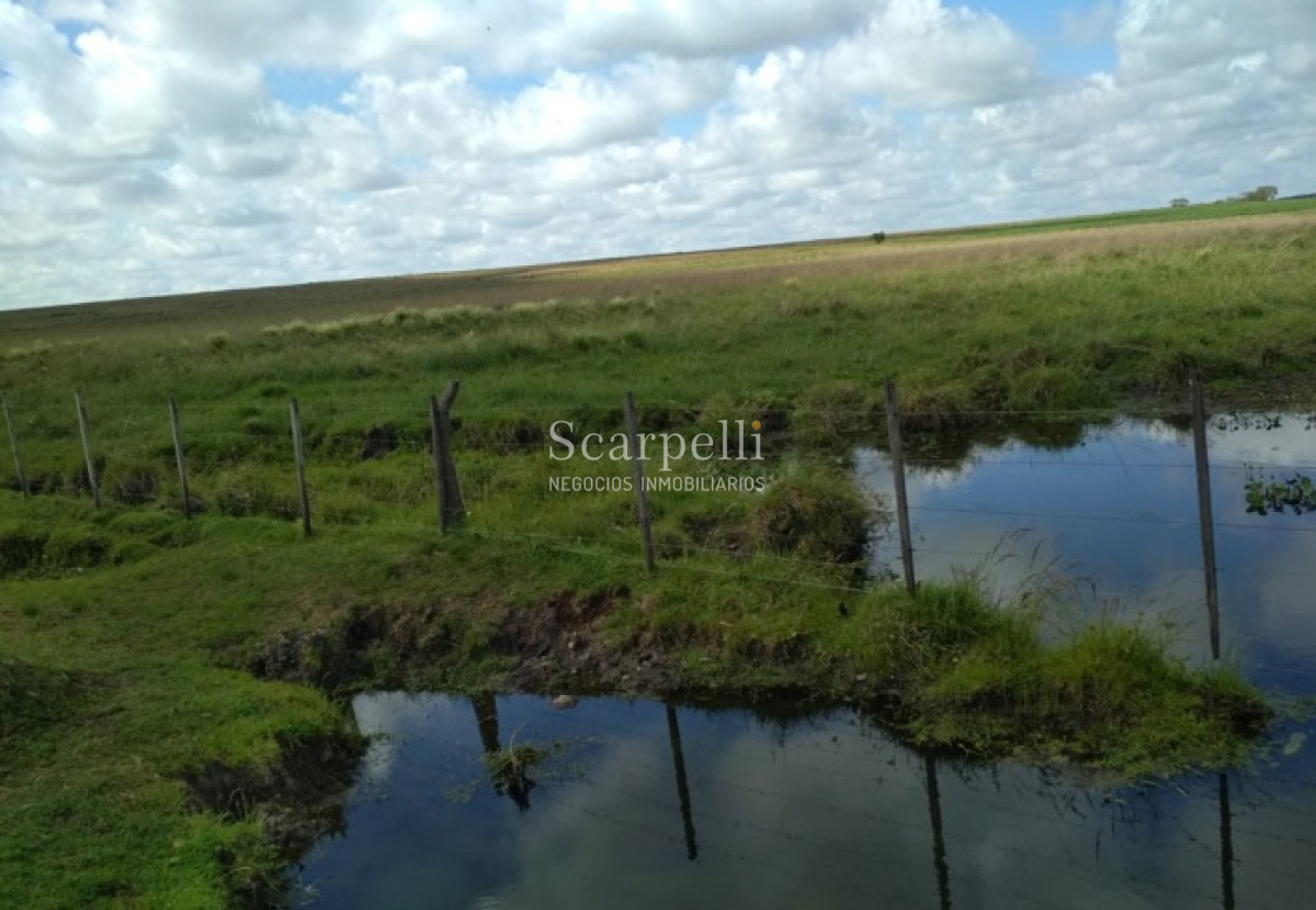 Campo Ref.34048 - ARTIGAS VENTA CAMPO 320 Hás  Próximo Bella Union