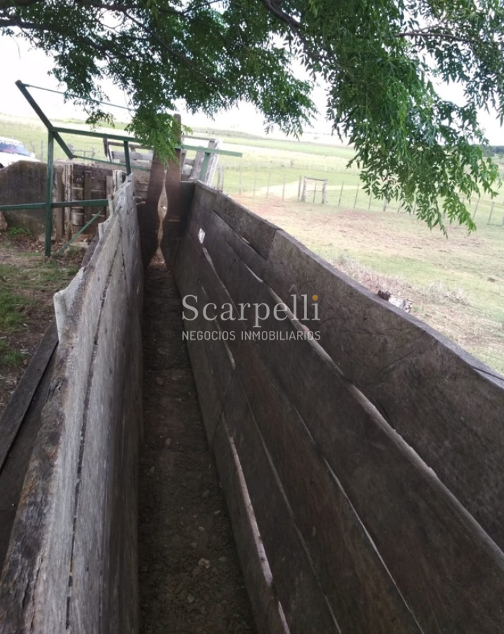 Campo Ref.34048 - ARTIGAS VENTA CAMPO 320 Hás  Próximo Bella Union