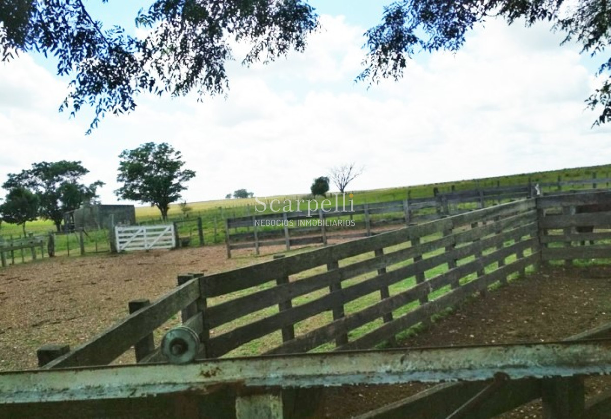 Campo Ref.34048 - ARTIGAS VENTA CAMPO 320 Hás  Próximo Bella Union
