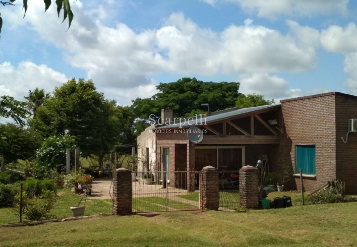 Campo Ref.34048 - ARTIGAS VENTA CAMPO 320 Hás  Próximo Bella Union