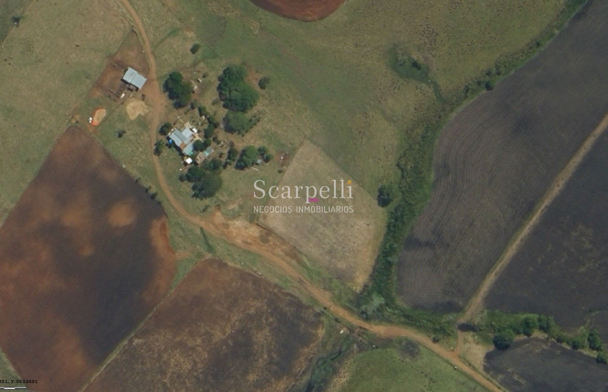Campo Ref.34048 - ARTIGAS VENTA CAMPO 320 Hás  Próximo Bella Union