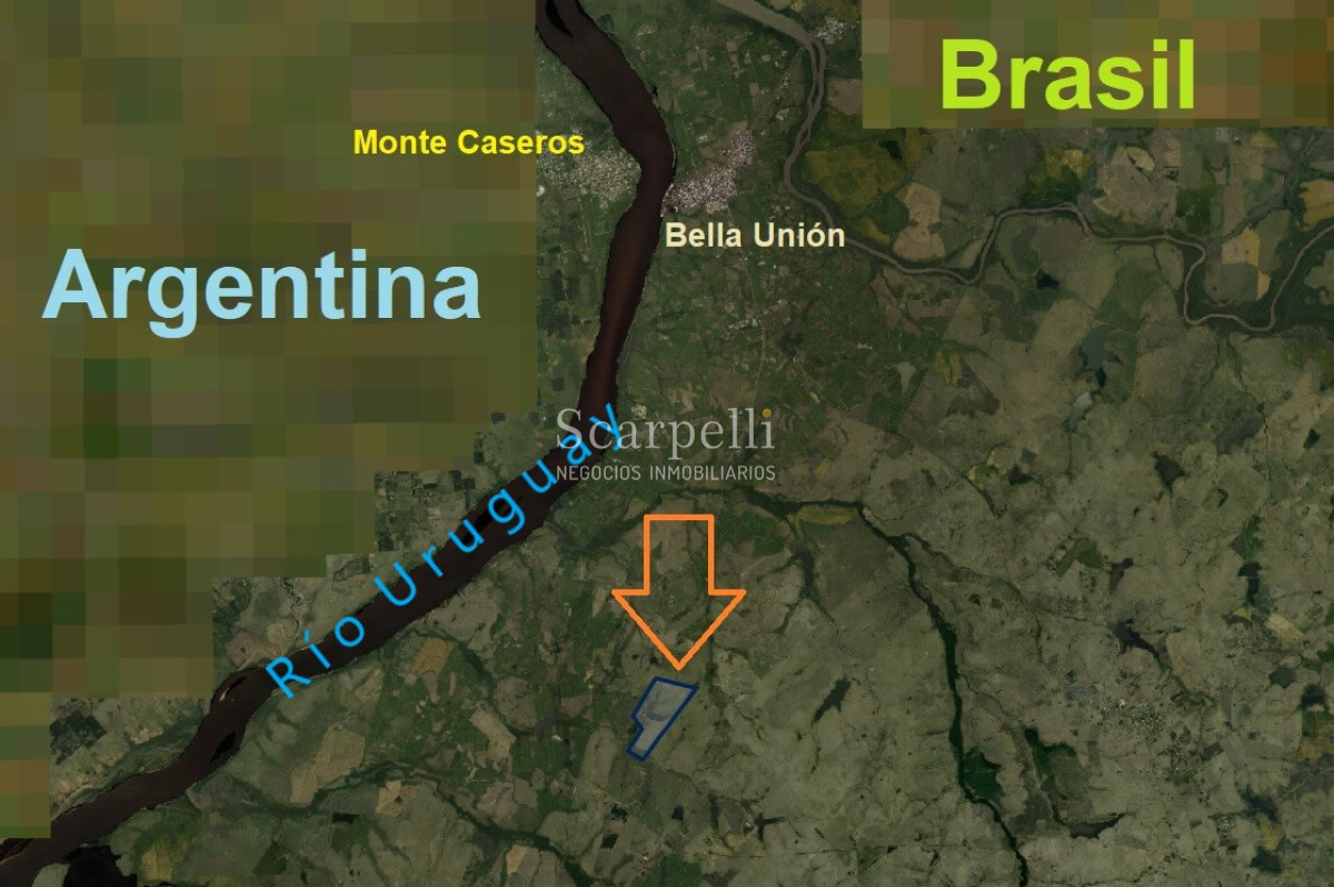Campo Ref.34048 - ARTIGAS VENTA CAMPO 320 Hás  Próximo Bella Union