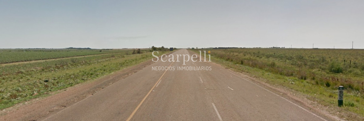 Campo Ref.34048 - ARTIGAS VENTA CAMPO 320 Hás  Próximo Bella Union